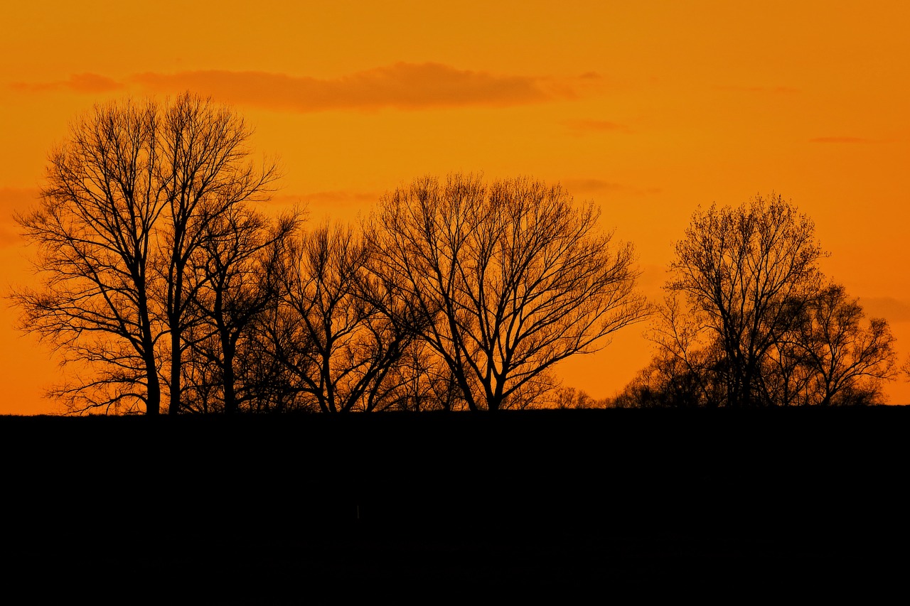 sunset abendstimmung silhuette free photo