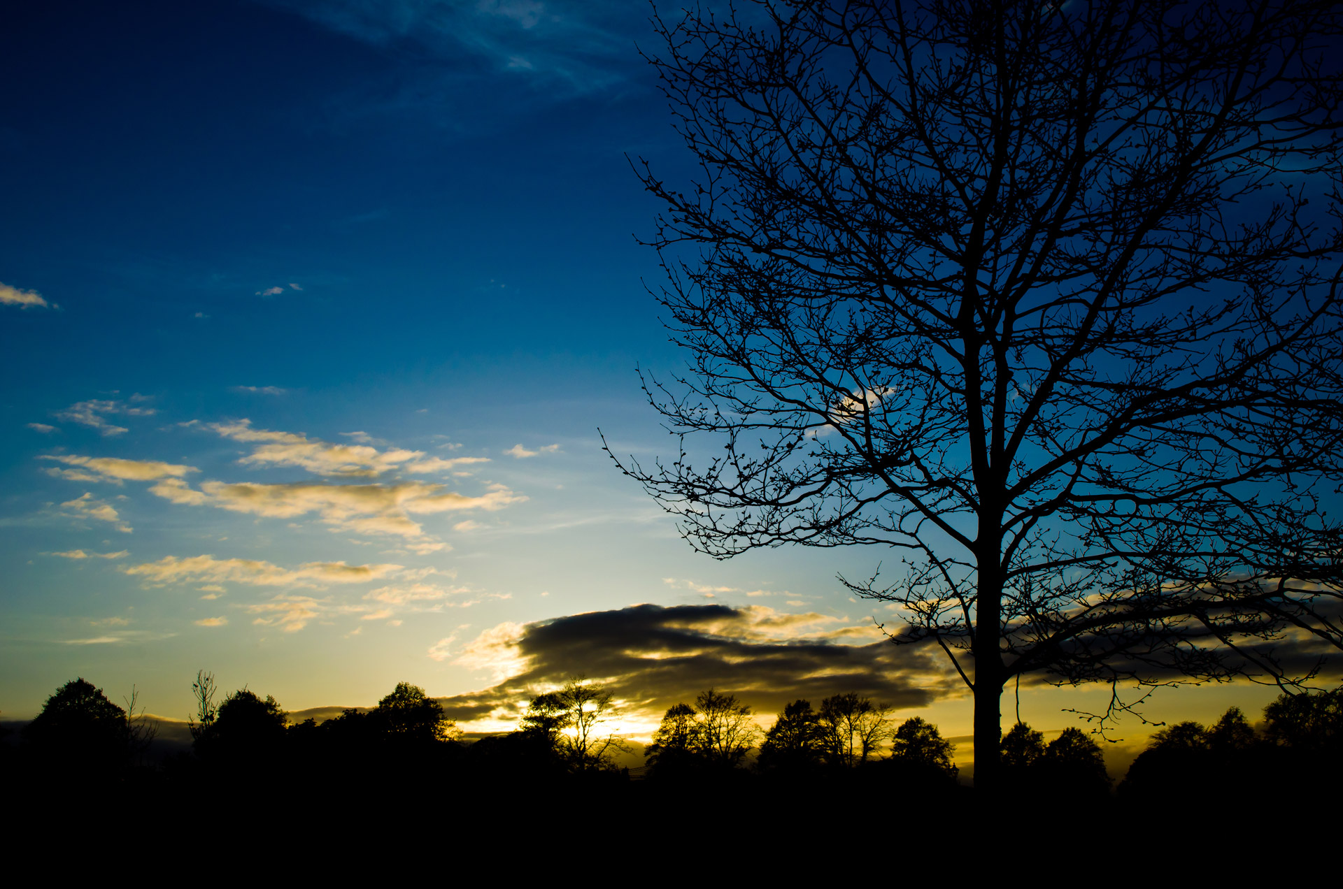 sunset spring sky free photo