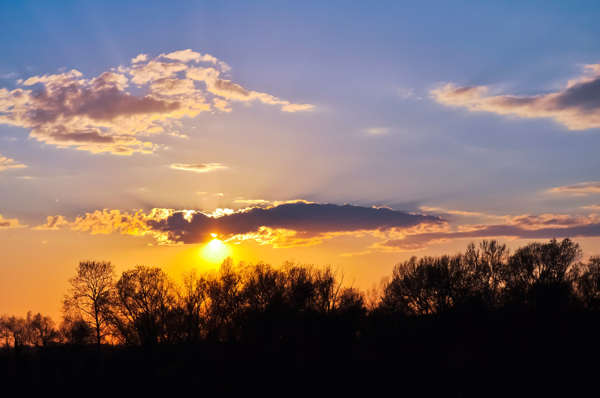 evening sunset sky free photo