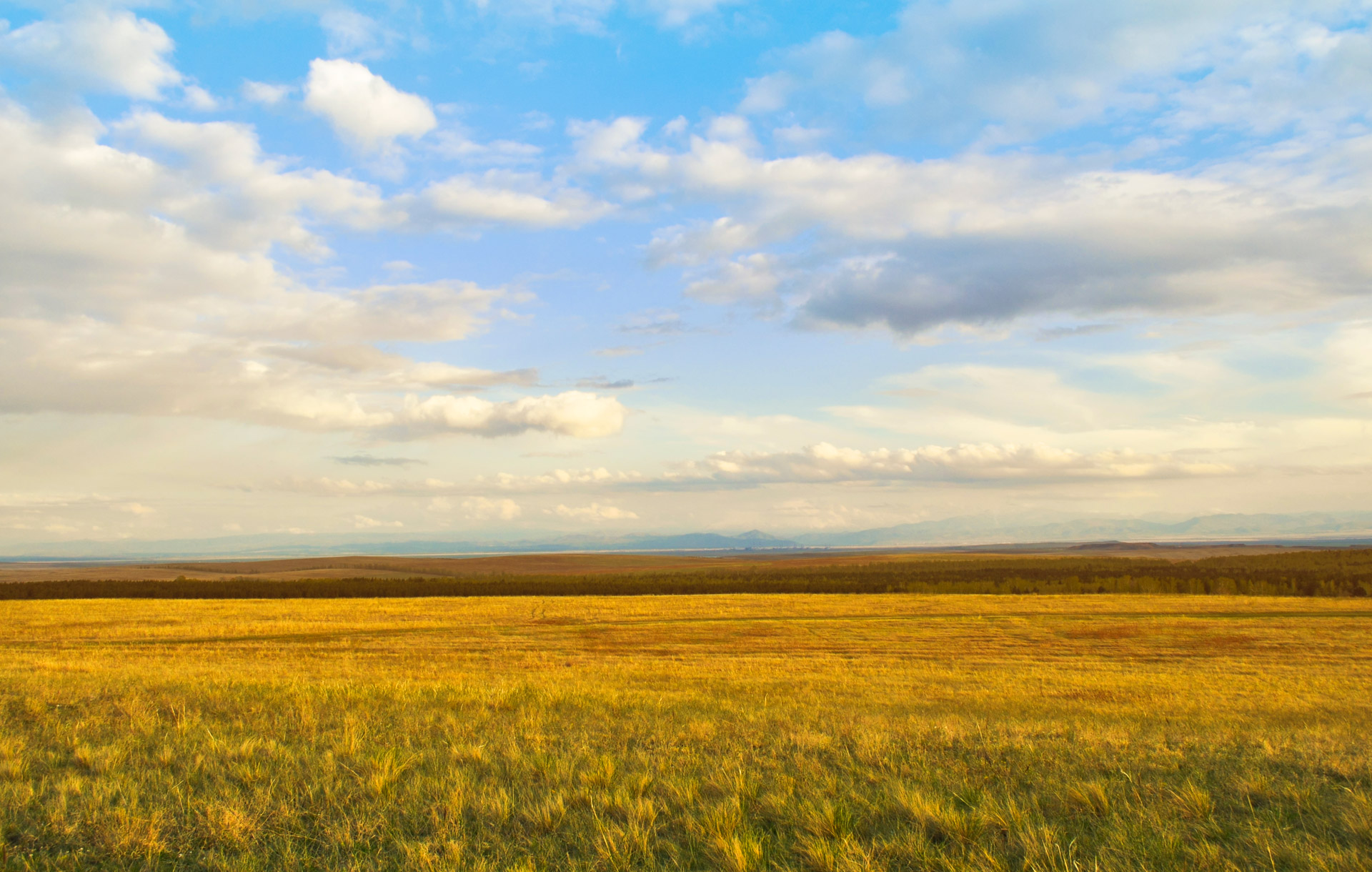 sunset field agriculture free photo