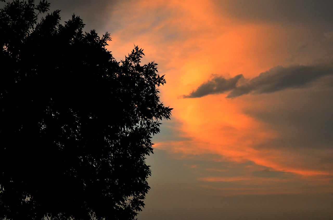 sunset lake balaton summer free photo