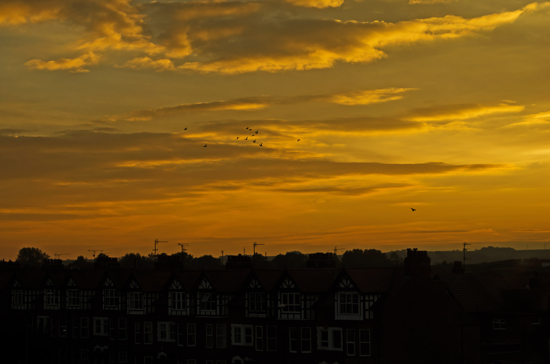 sunset,background,houses,house,city,england,evening,orange,red,night,nature,sun,clouds,cloudy,weather,sunset,free pictures, free photos, free images, royalty free, free illustrations, public domain