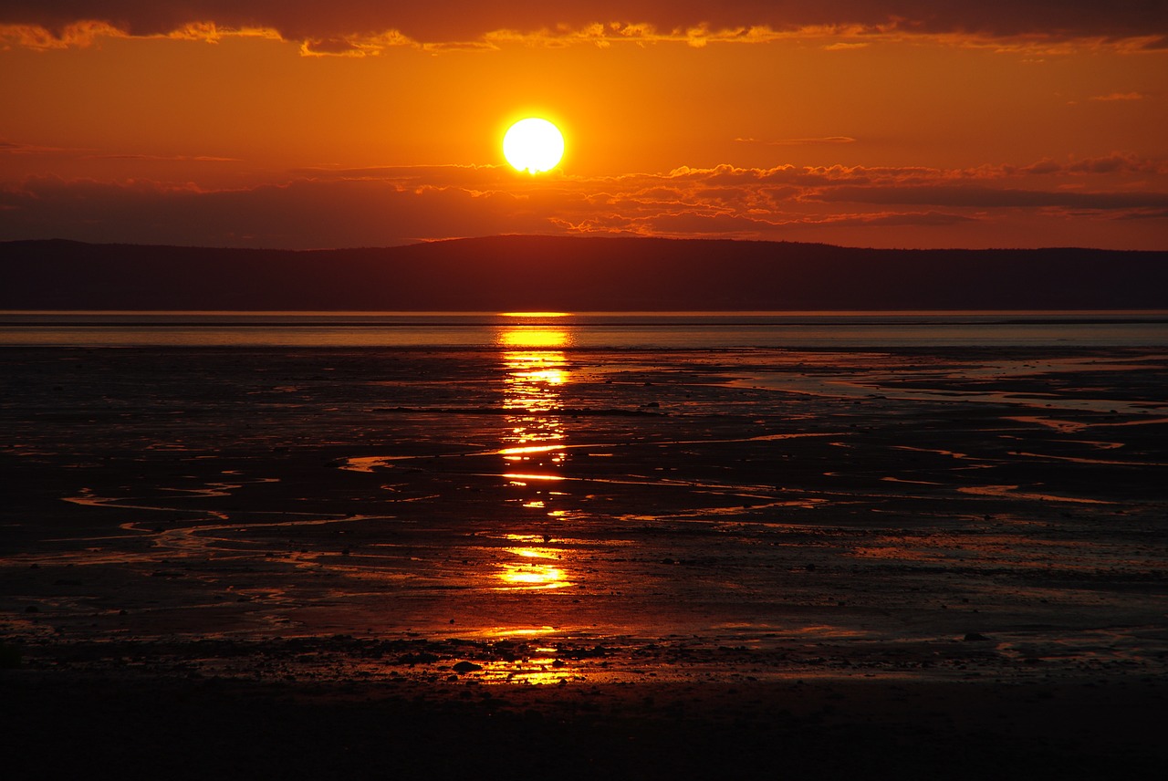 sunset red sea free photo