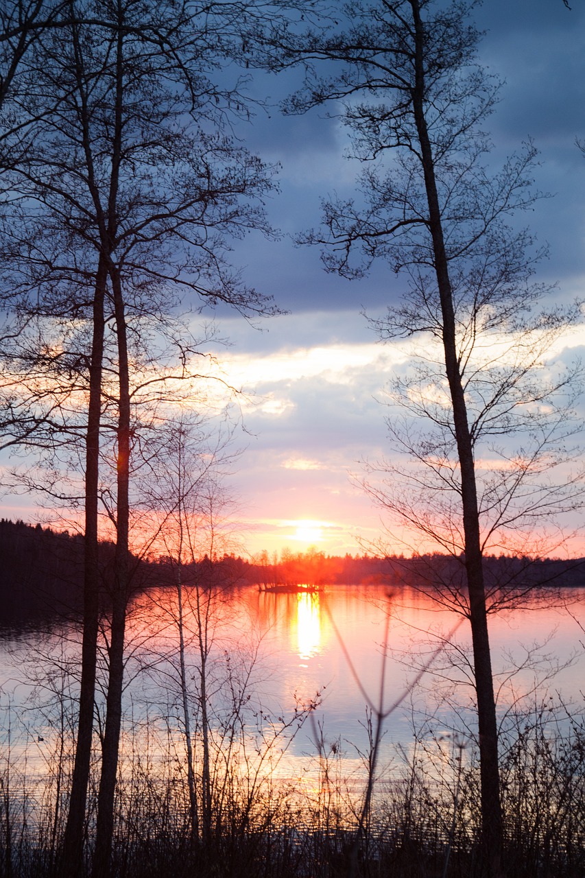 sunset nature finland free photo