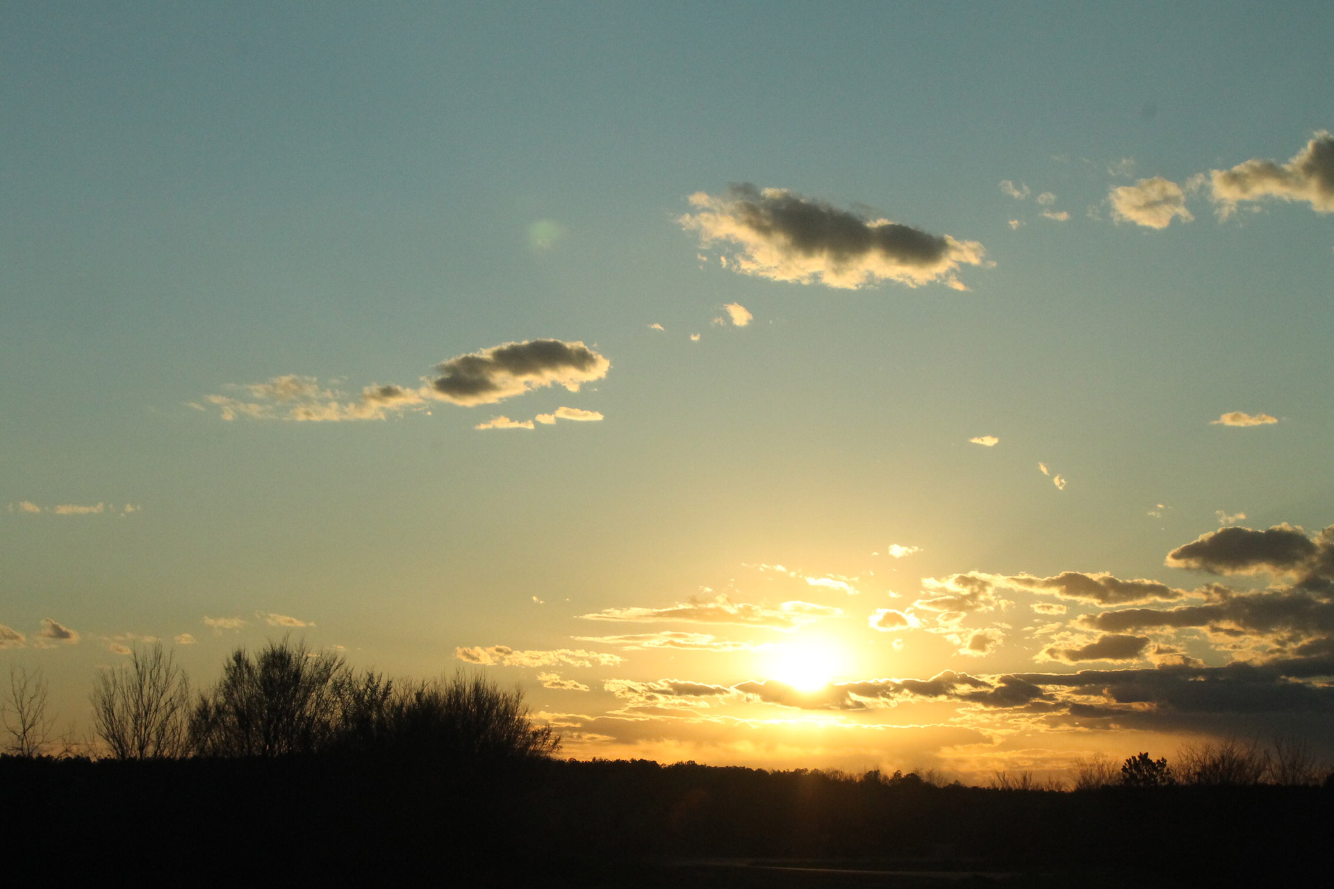 sunset trees sunset free photo