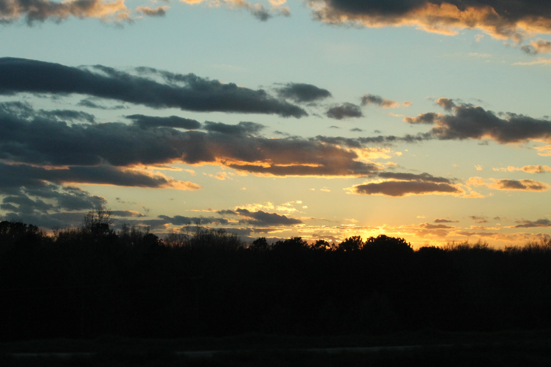 sunset trees sunset free photo