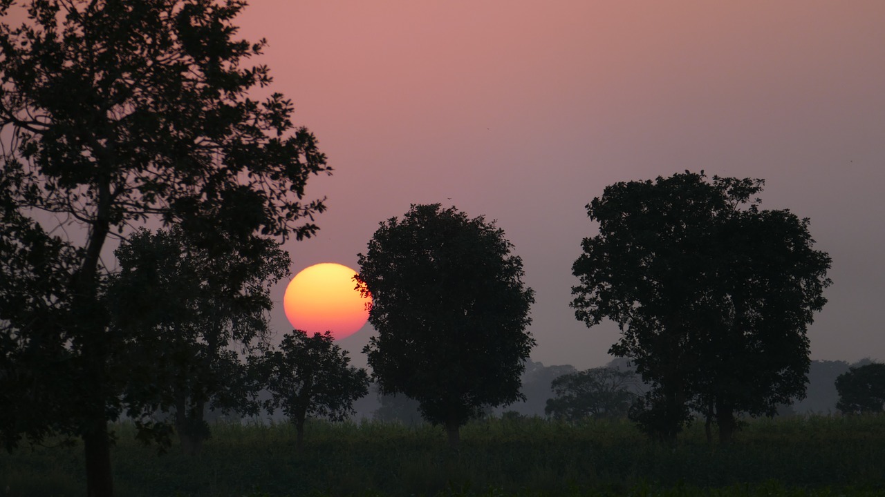 sunset red sky free photo