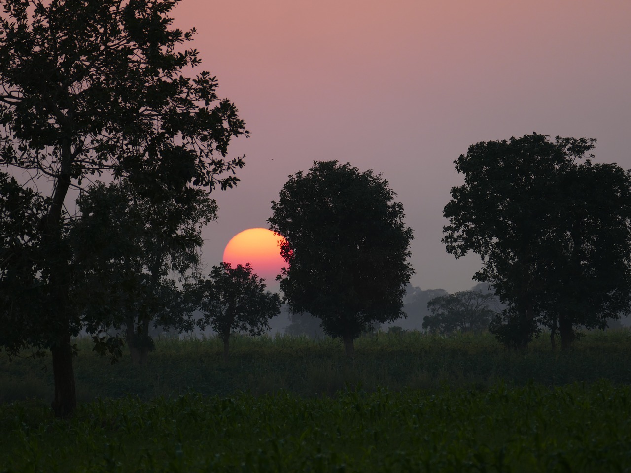 sunset red sky free photo