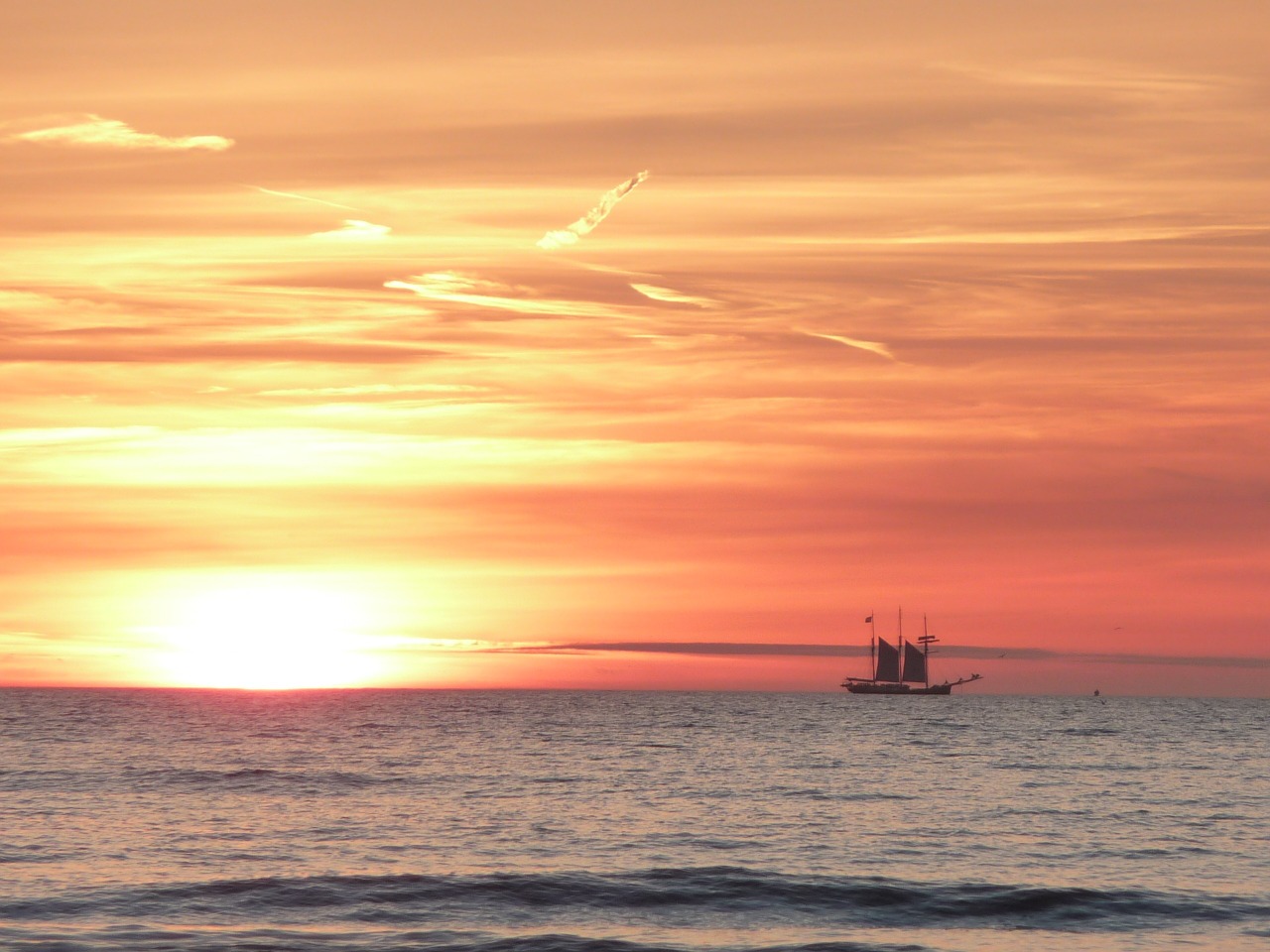 sunset sailing boat sea free photo