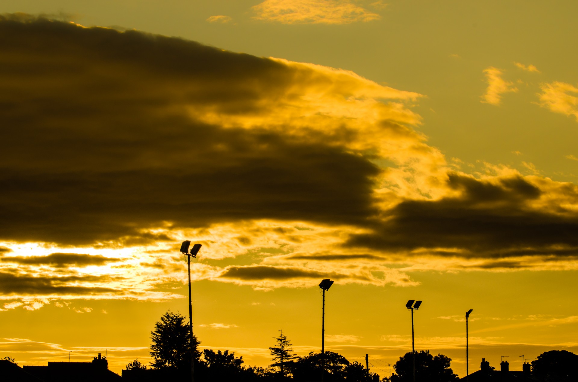 sunset orange color free photo