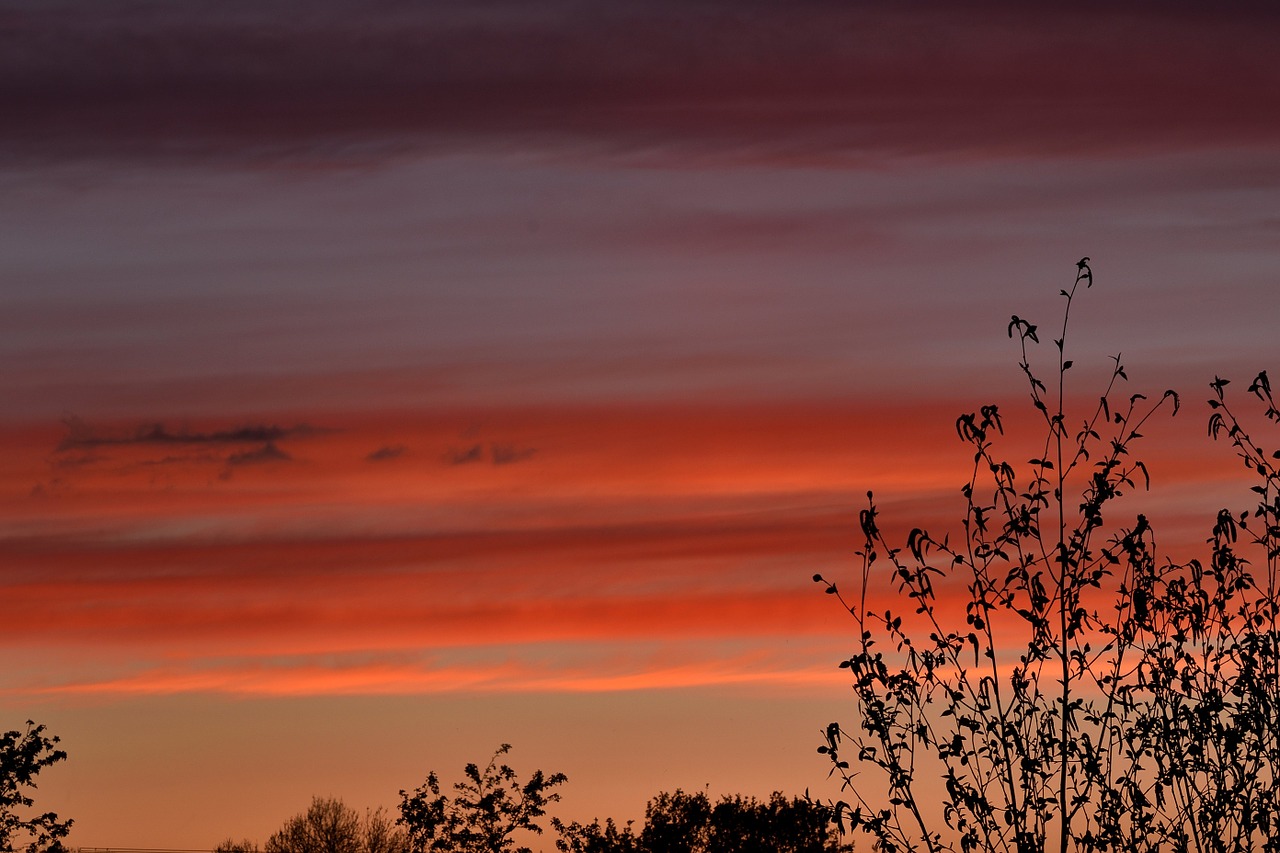 sunset orange sky colors free photo