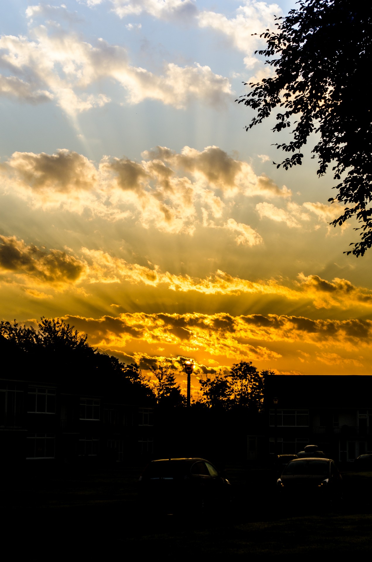 sunset orange color free photo