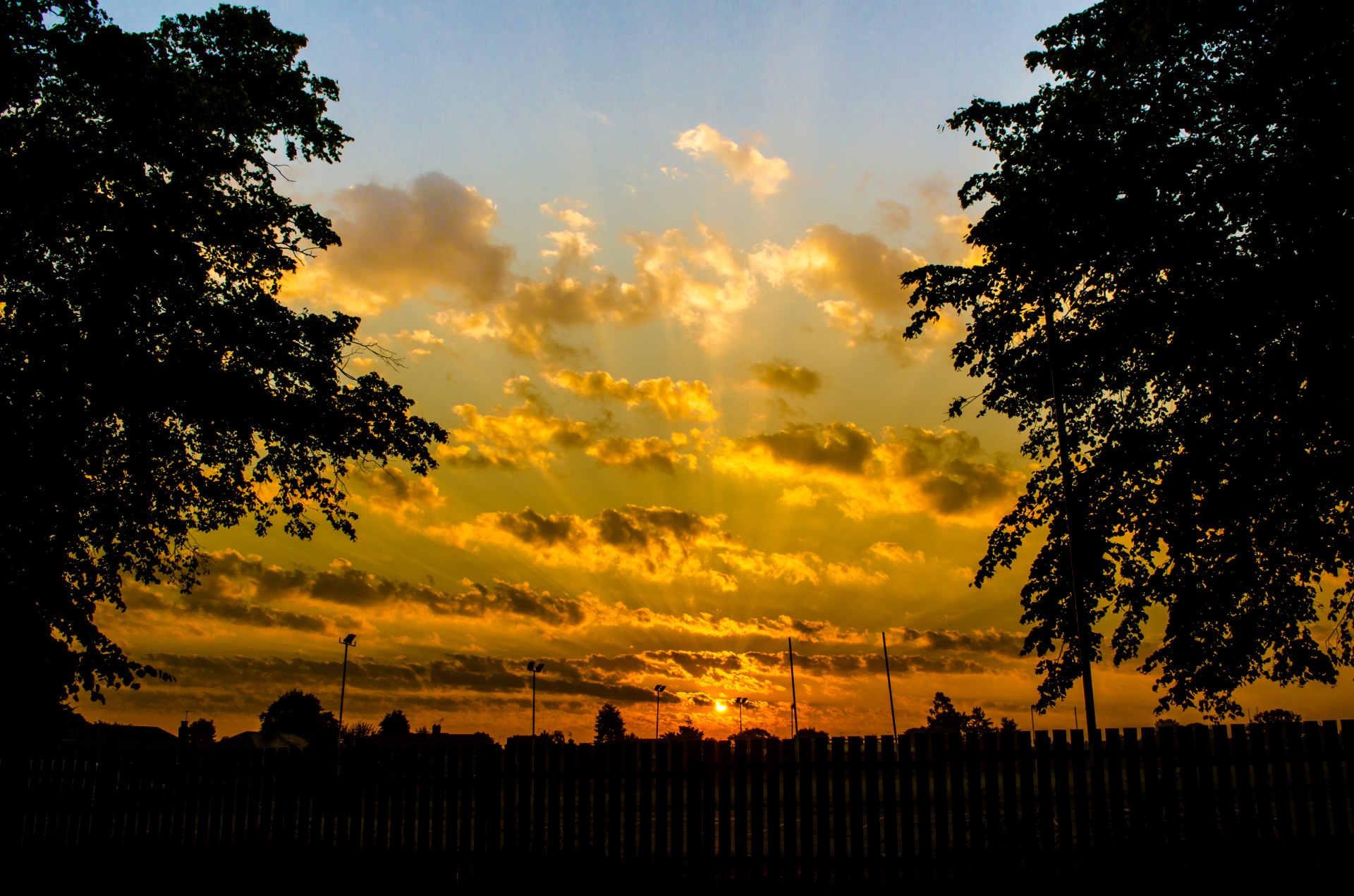 sunset orange color free photo