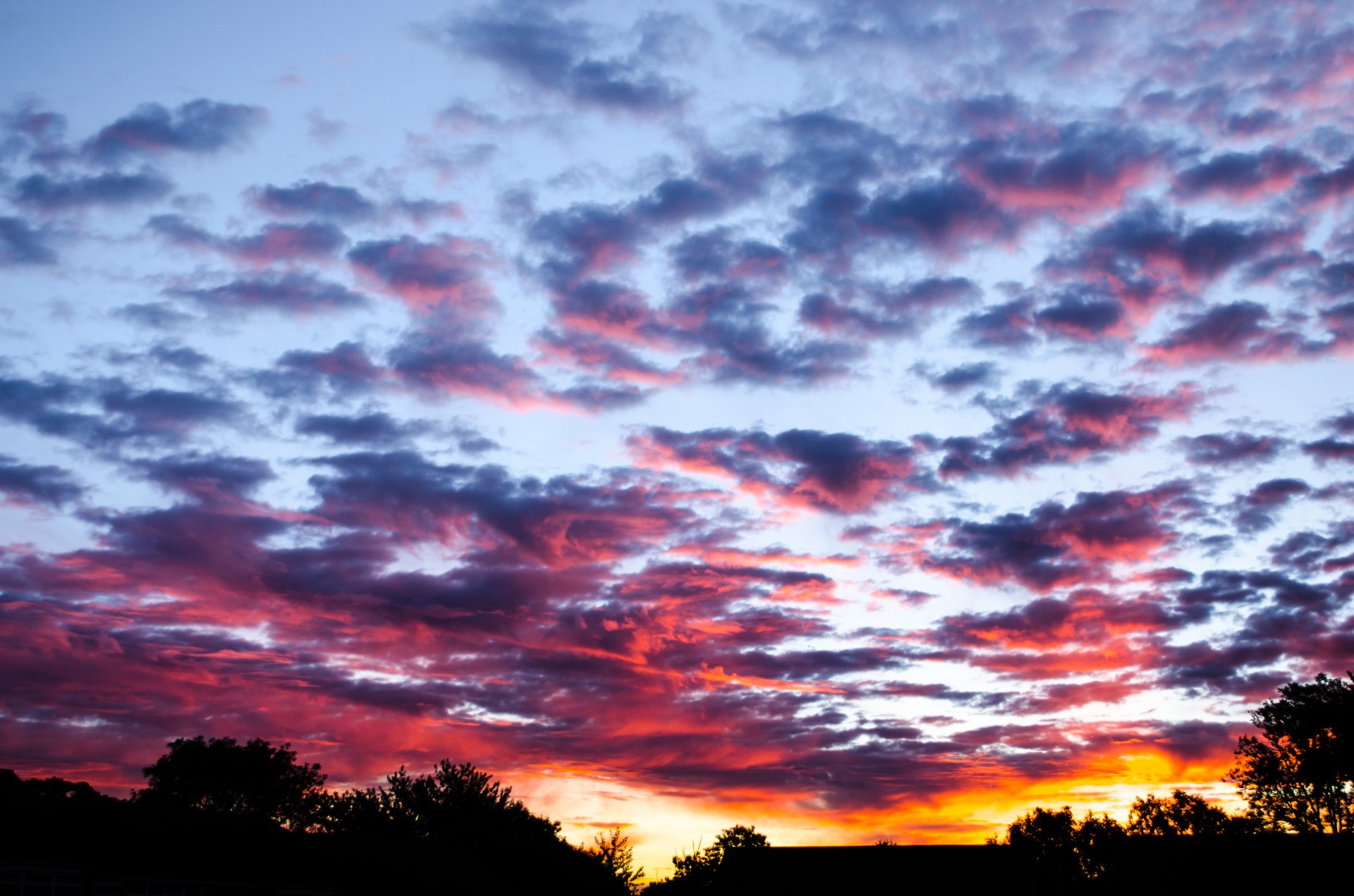 sunset orange color free photo