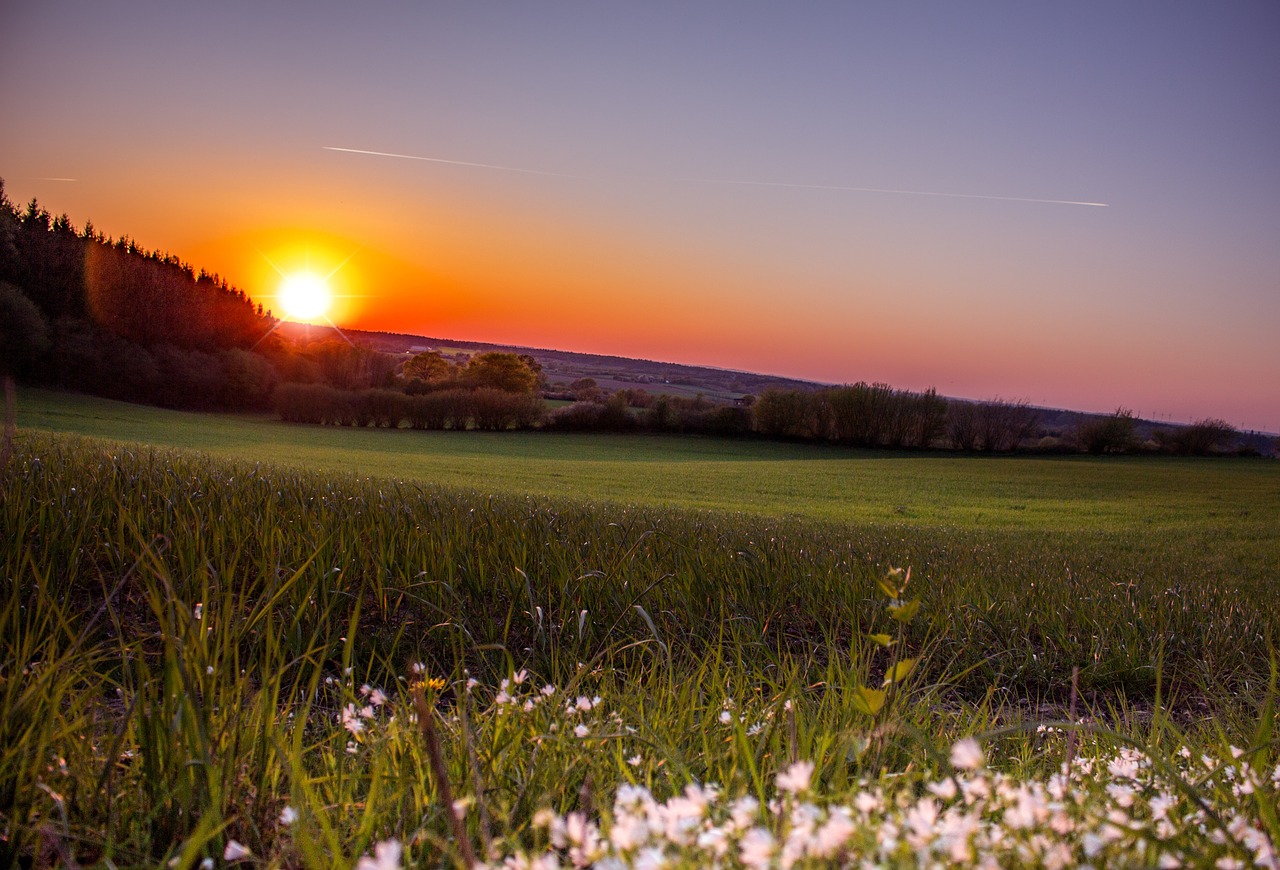 sunset sun abendstimmung free photo