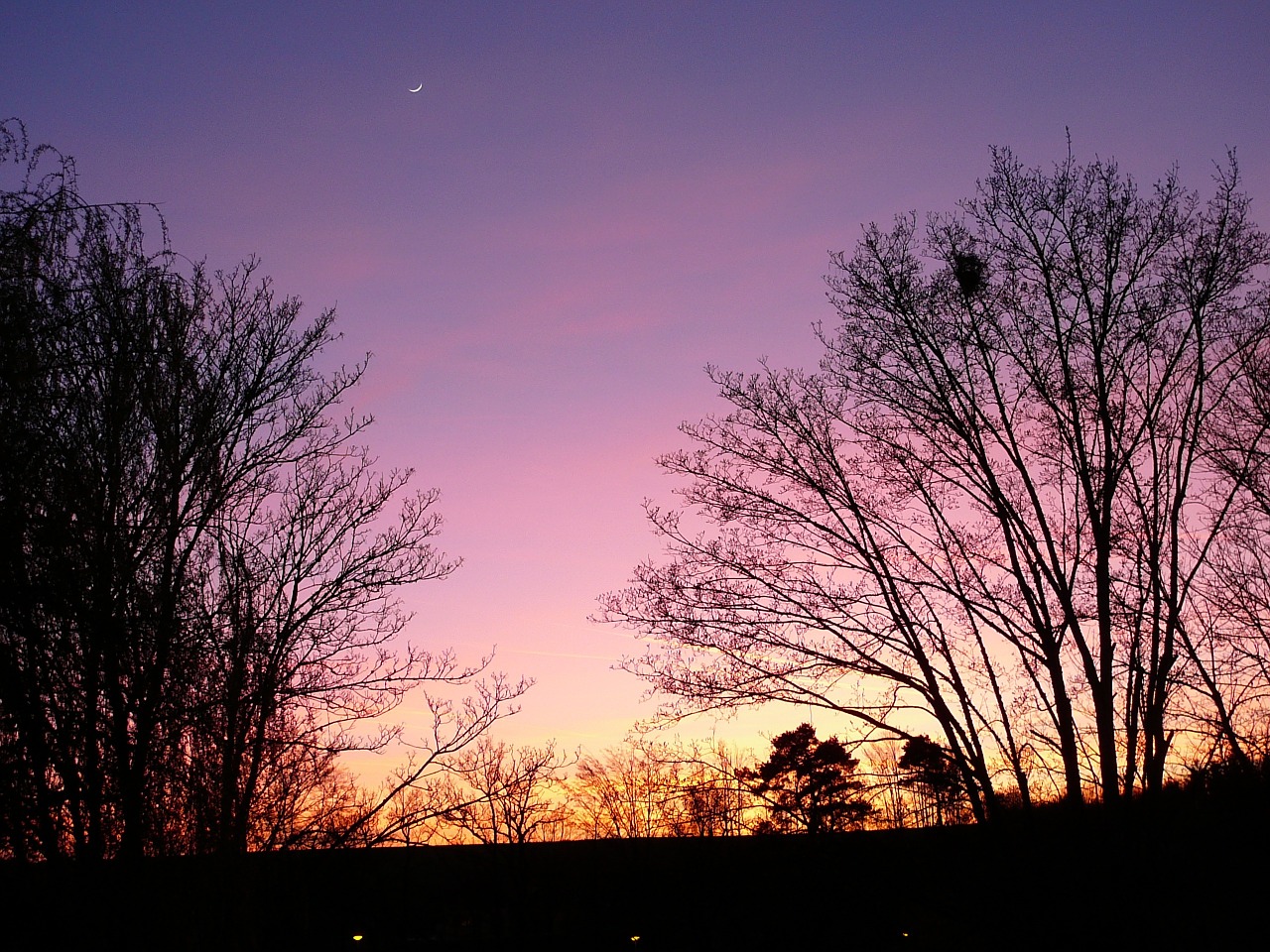 sunset gradient violet free photo