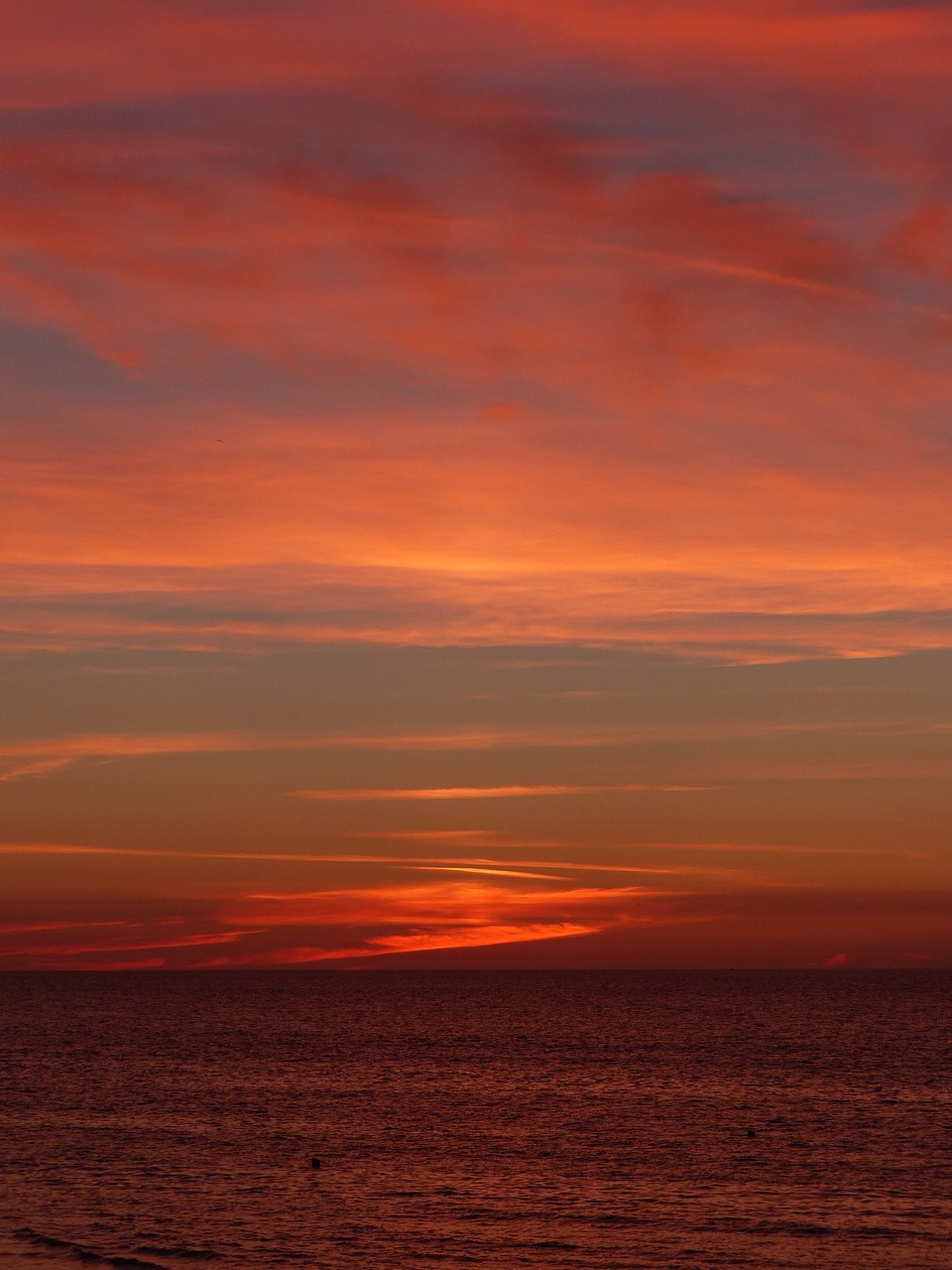 sunset clouds sky free photo