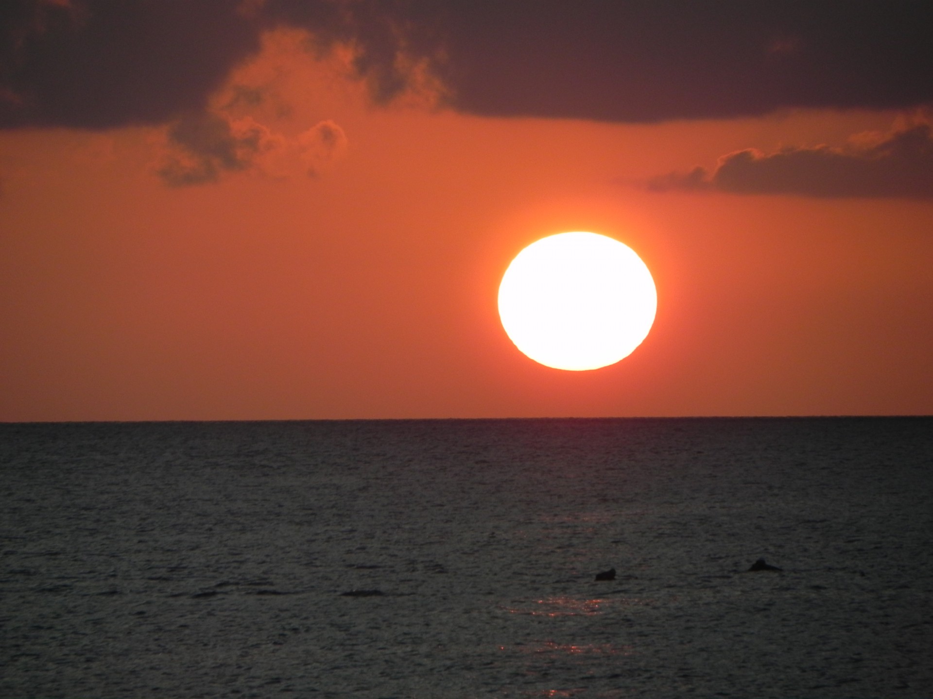 sun sunset sea free photo