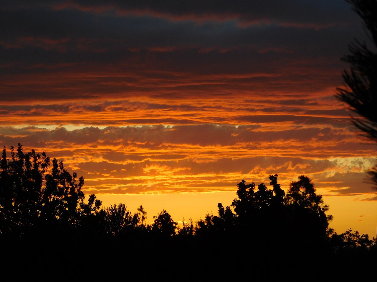 sunset clouds sky free photo