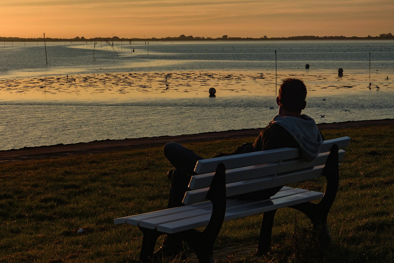 sunset abendstimmung wadden sea free photo