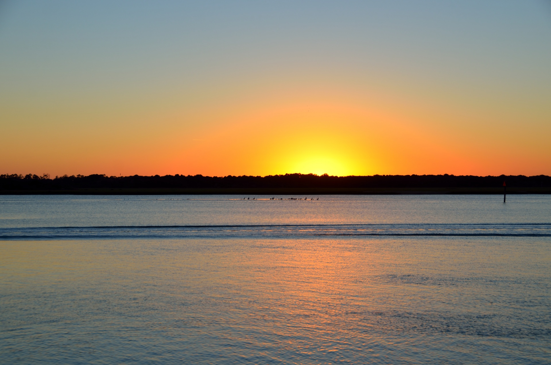 sunset silhouette nighttime free photo