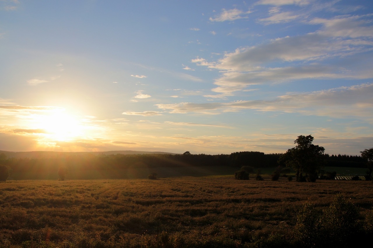 sunset sun sunbeam free photo