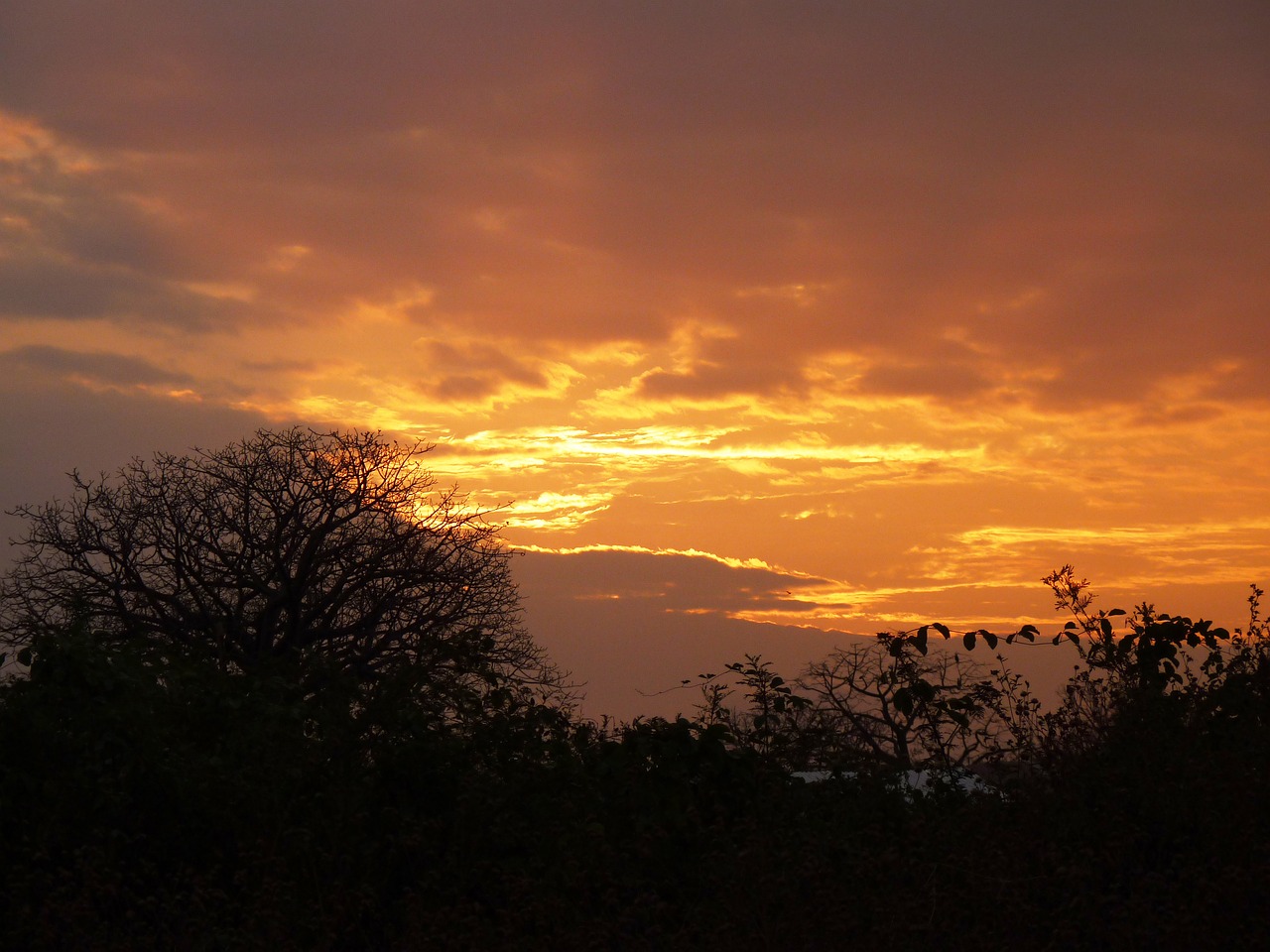 sunset sky orange free photo