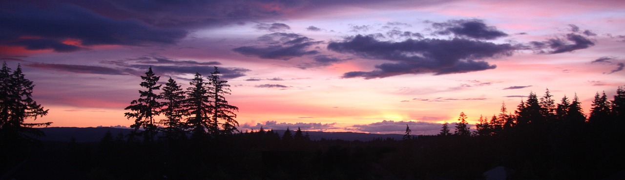 sunset clouds trees free photo