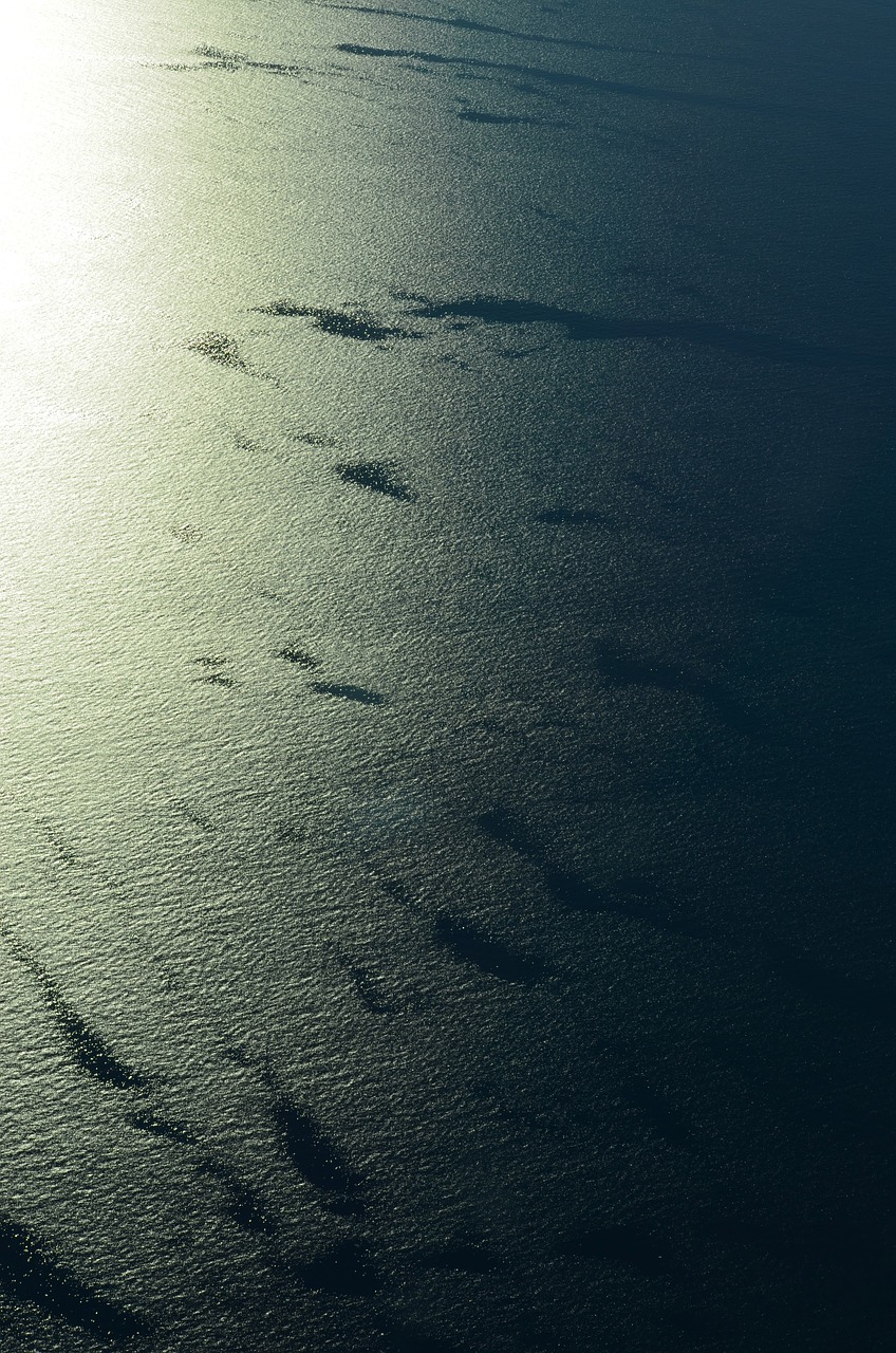 sea smooth surface from the plane free photo