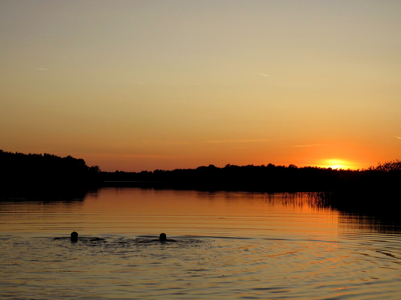 sunset swimming lake free photo