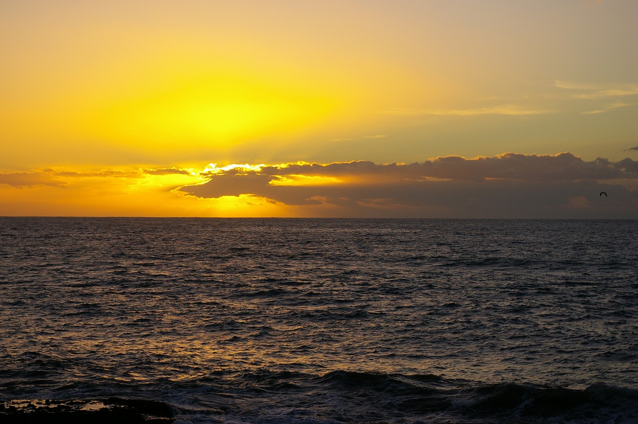 sunset beach tenerife free photo