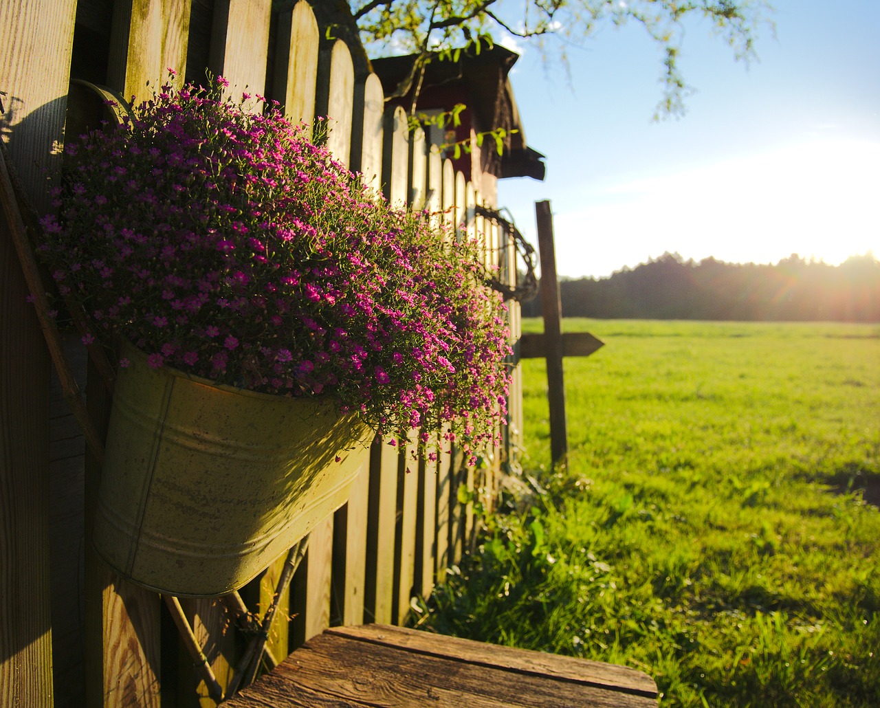 sunset countryside nature free photo