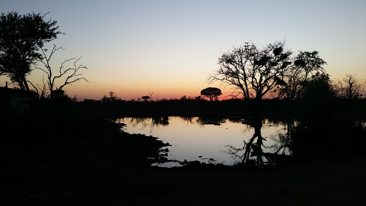 sunset south africa twilight free photo