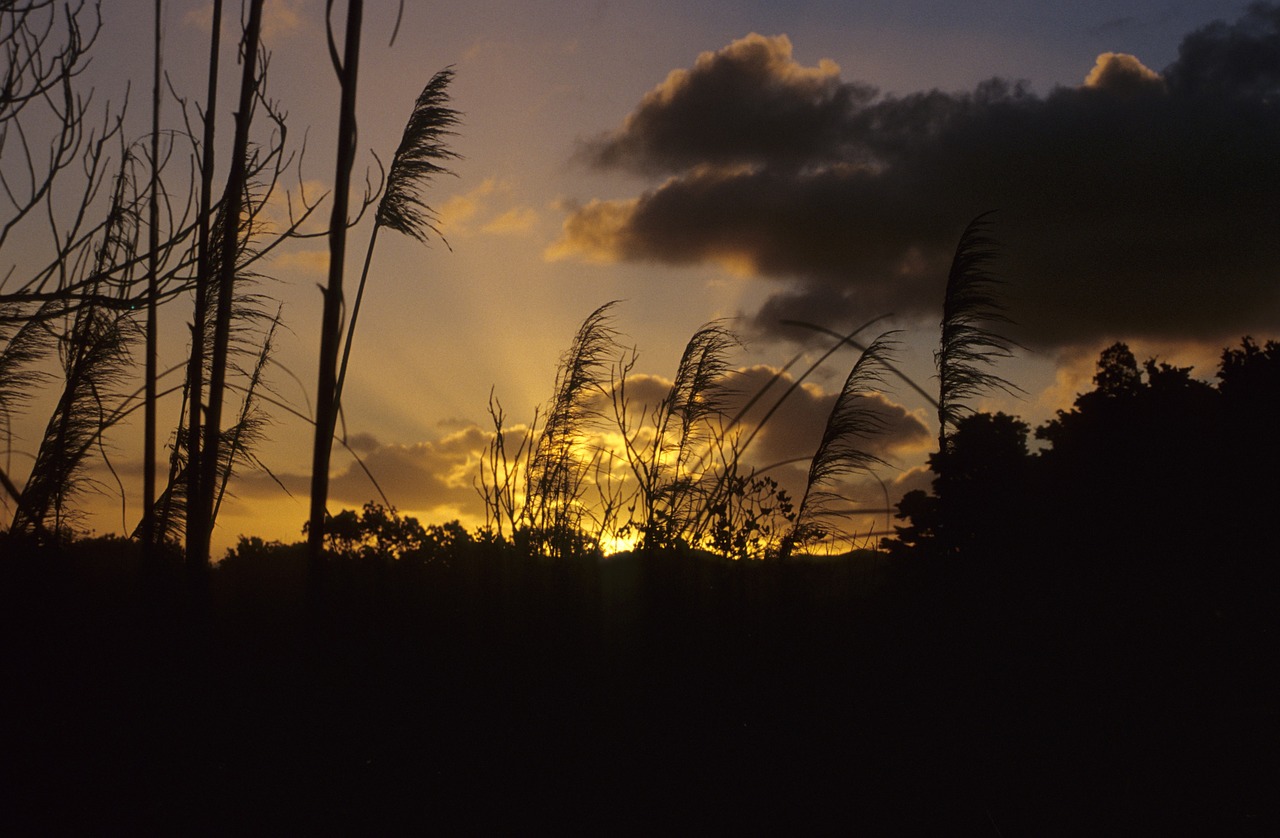 sunset evening clouds free photo