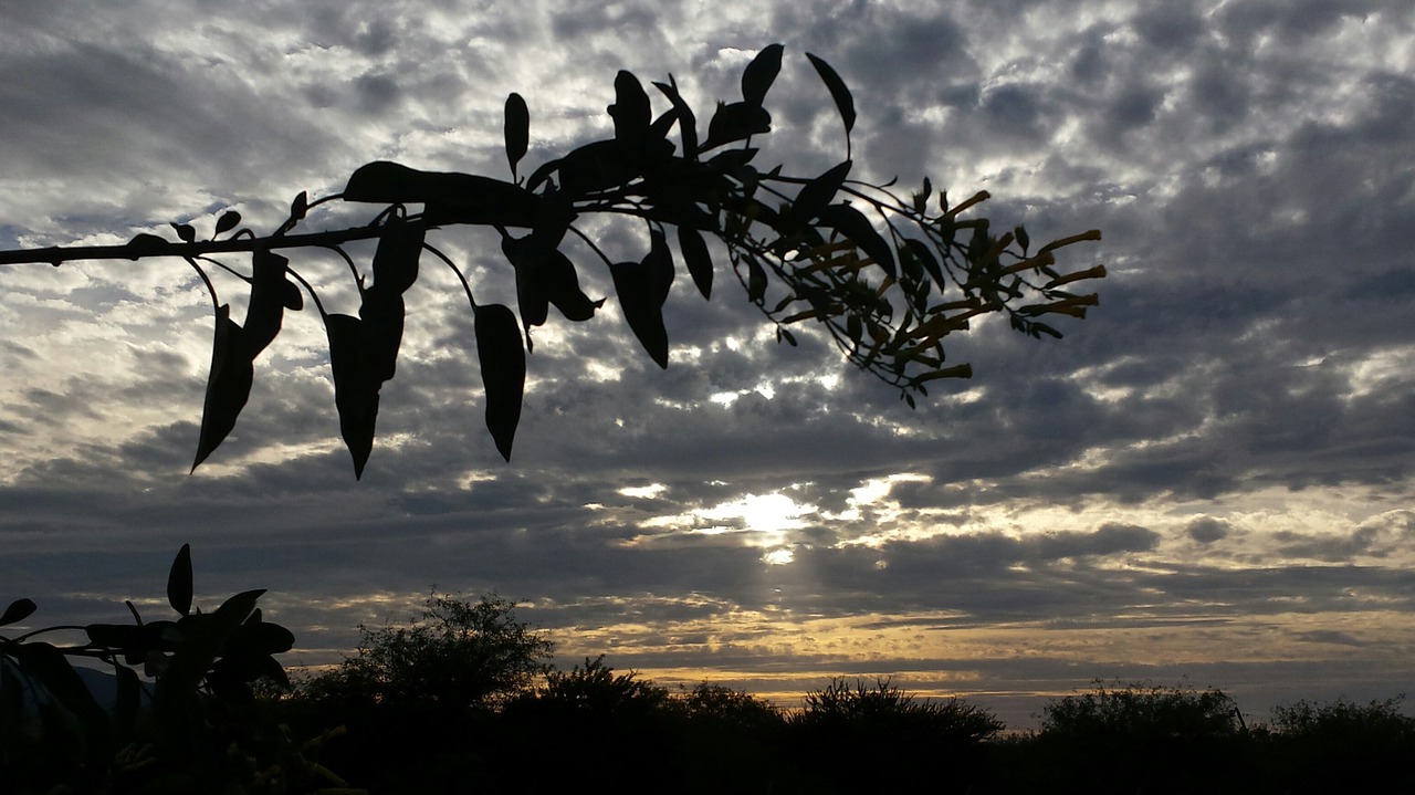 sunset grey clouds free photo