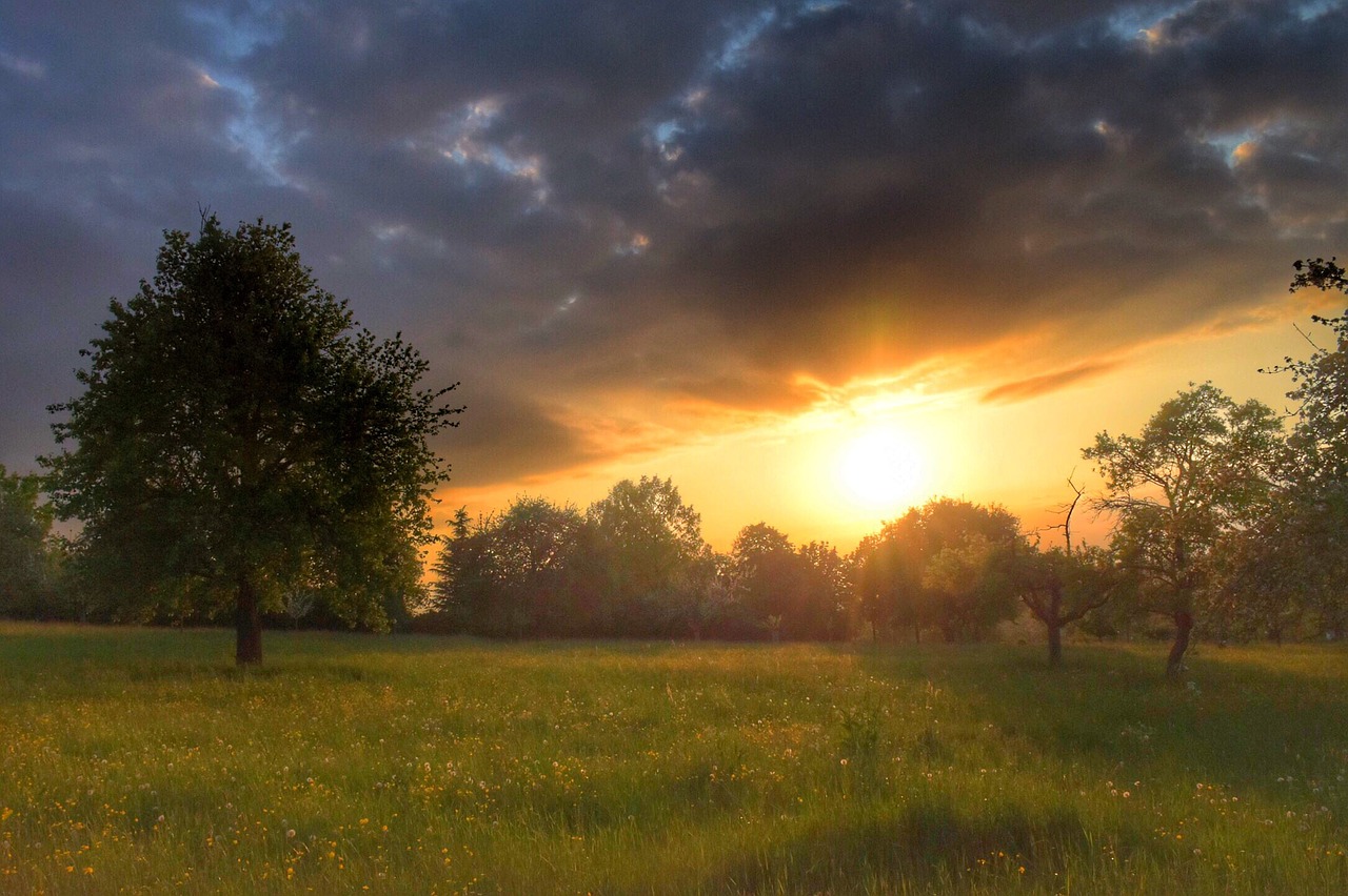 sunset romantic evening sky free photo