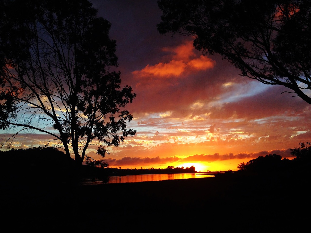 sunset tree silhouette free photo