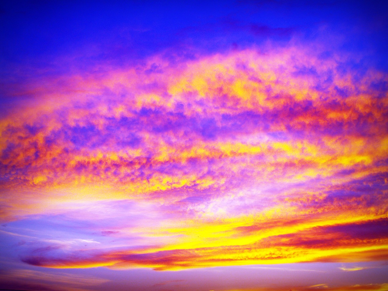 sunset sky red free photo