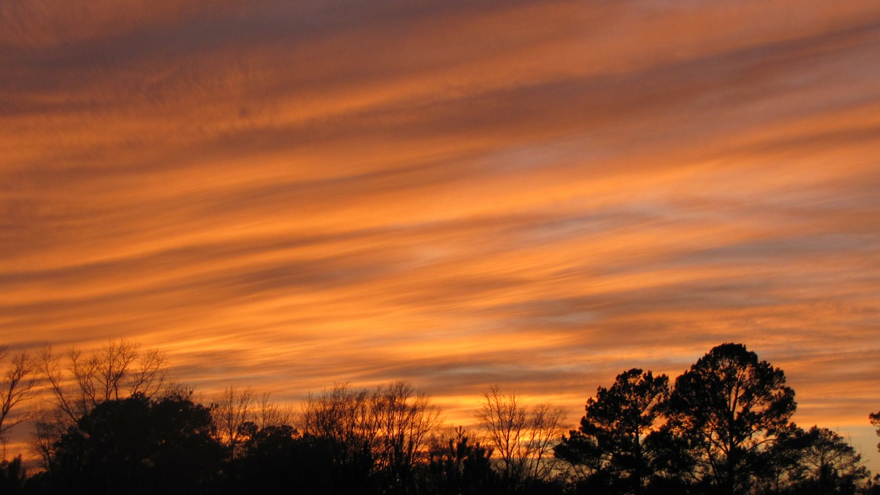 sunset orange sky free photo