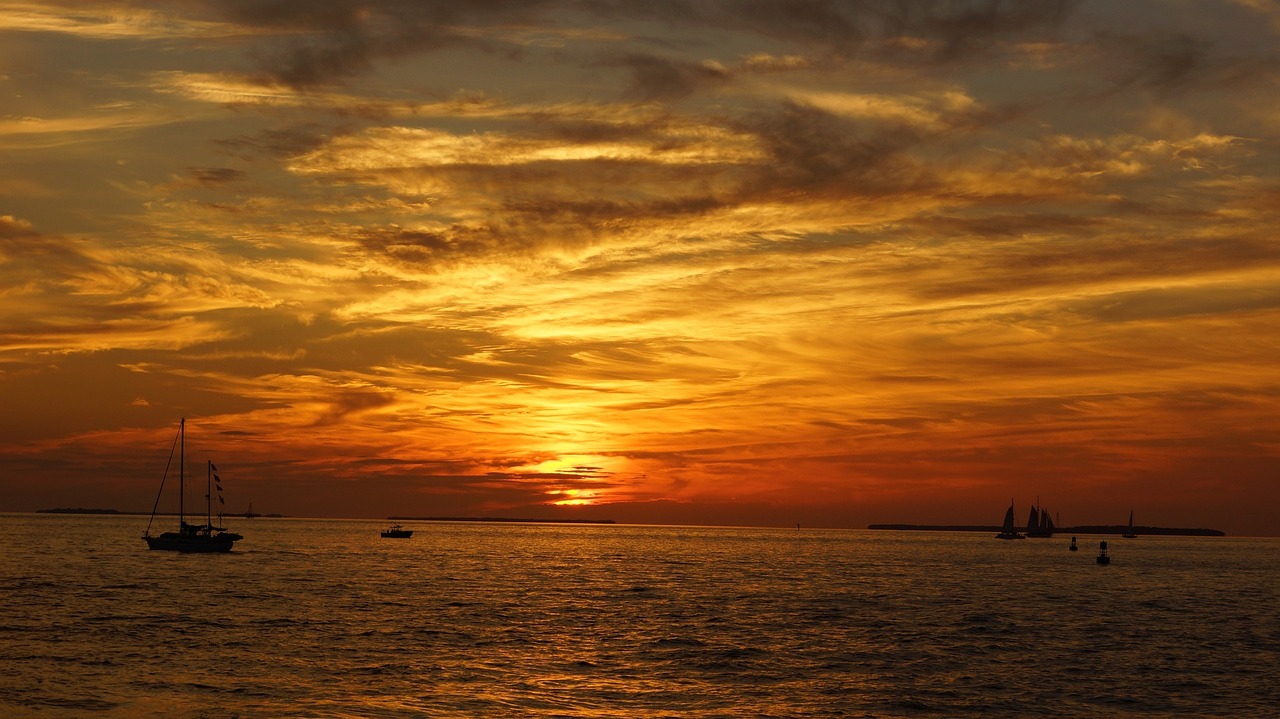 sunset ocean sailboats free photo