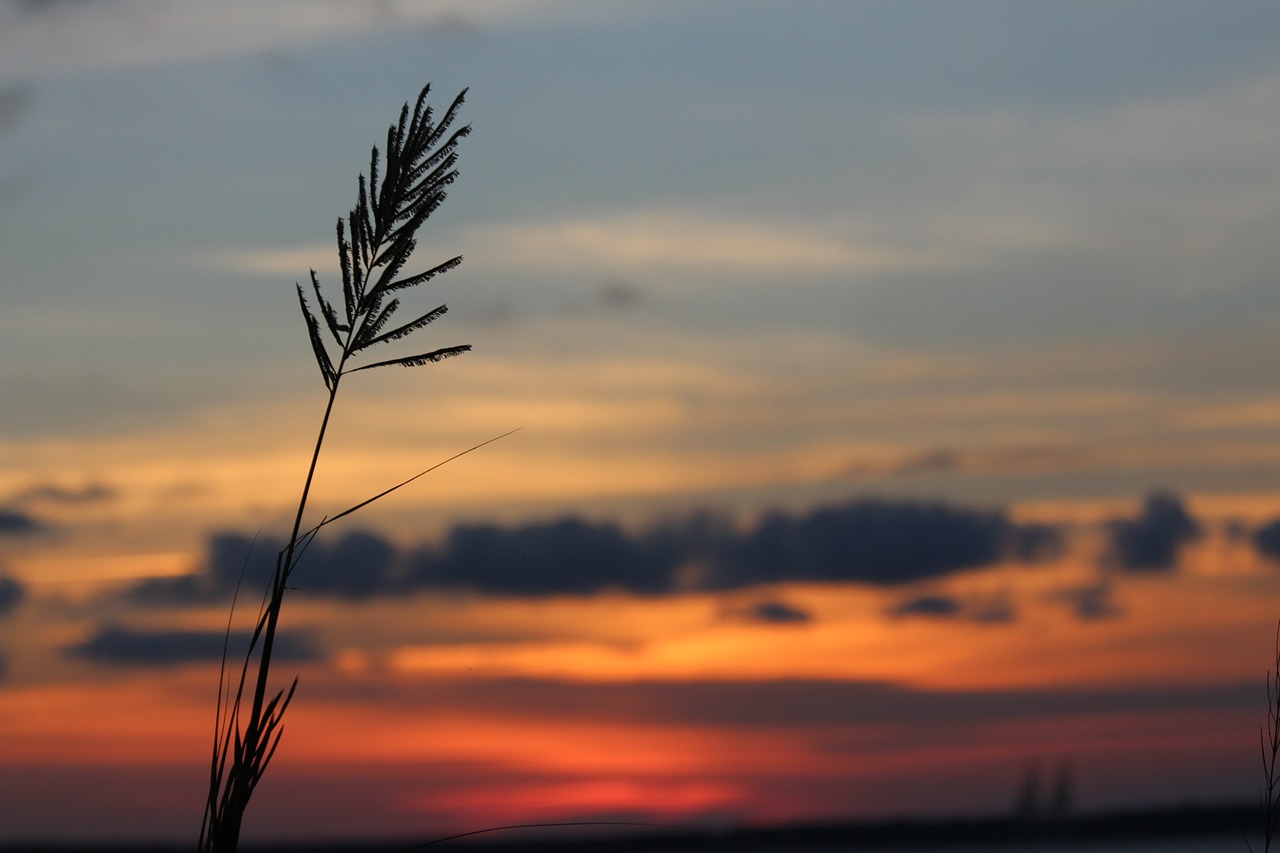 sunset clouds blue free photo