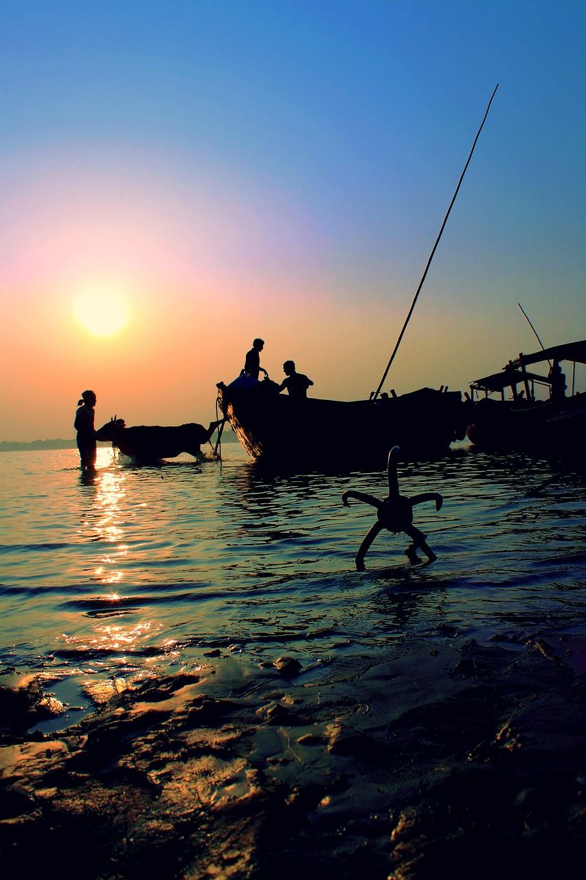 sunset river bengal free photo