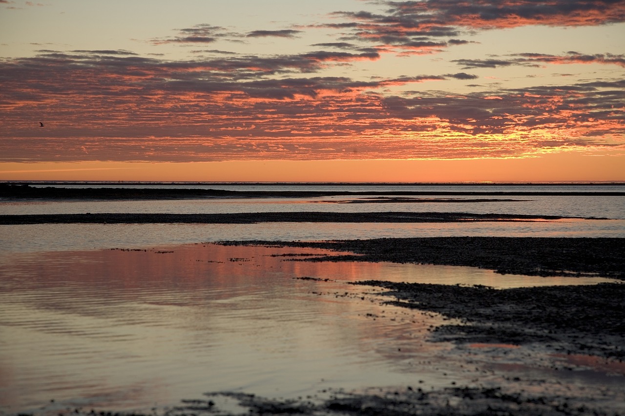 sunset ocean horizon free photo