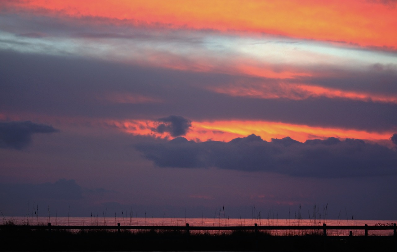 sunset tropical sea oats free photo