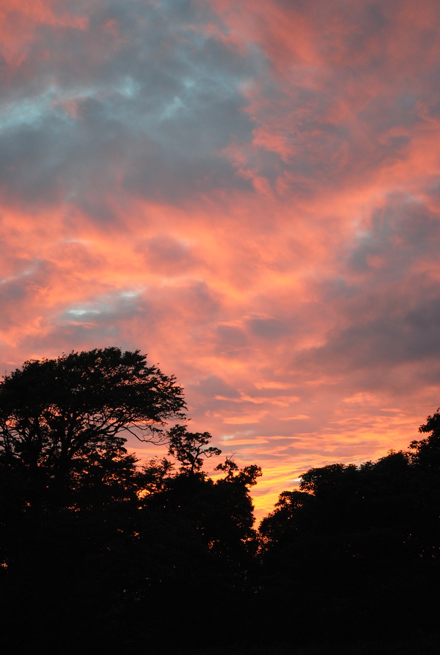 sunset evening silhouette free photo