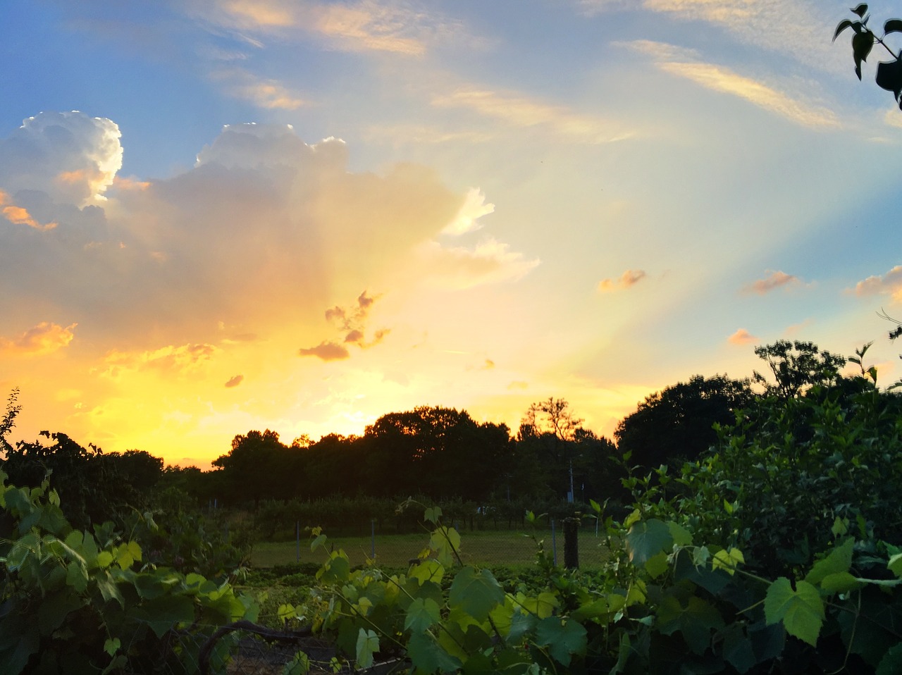 sunset abendstimmung sky free photo