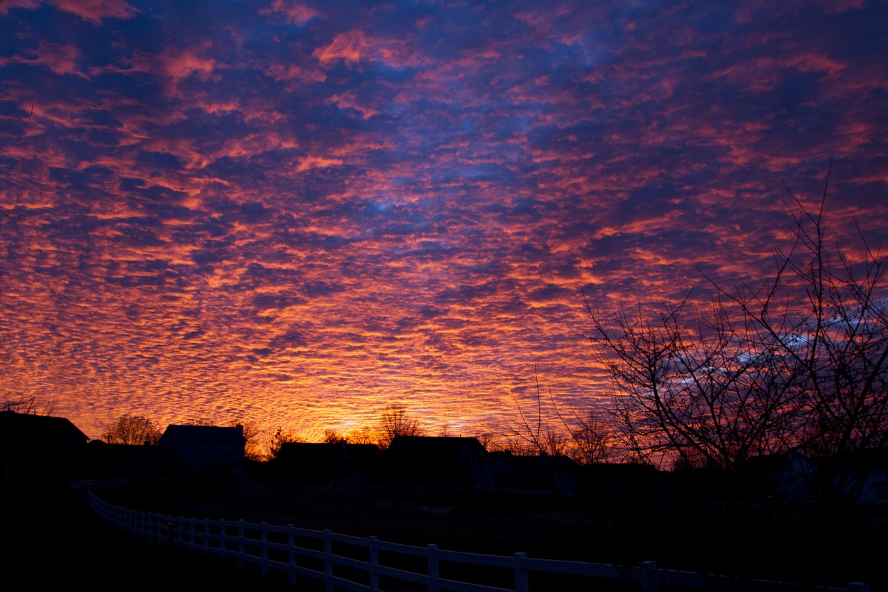 sunset orange sky free photo