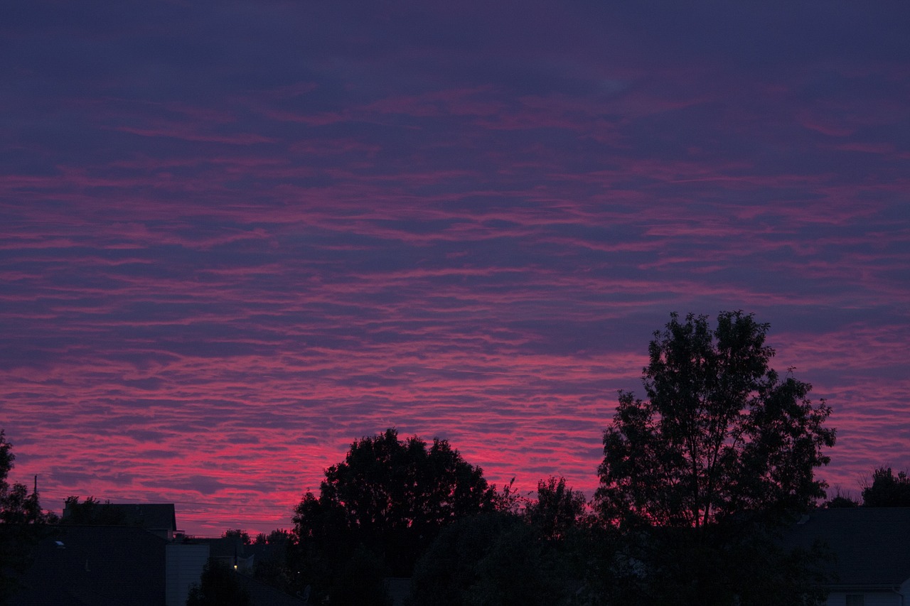 sunset pink purple free photo