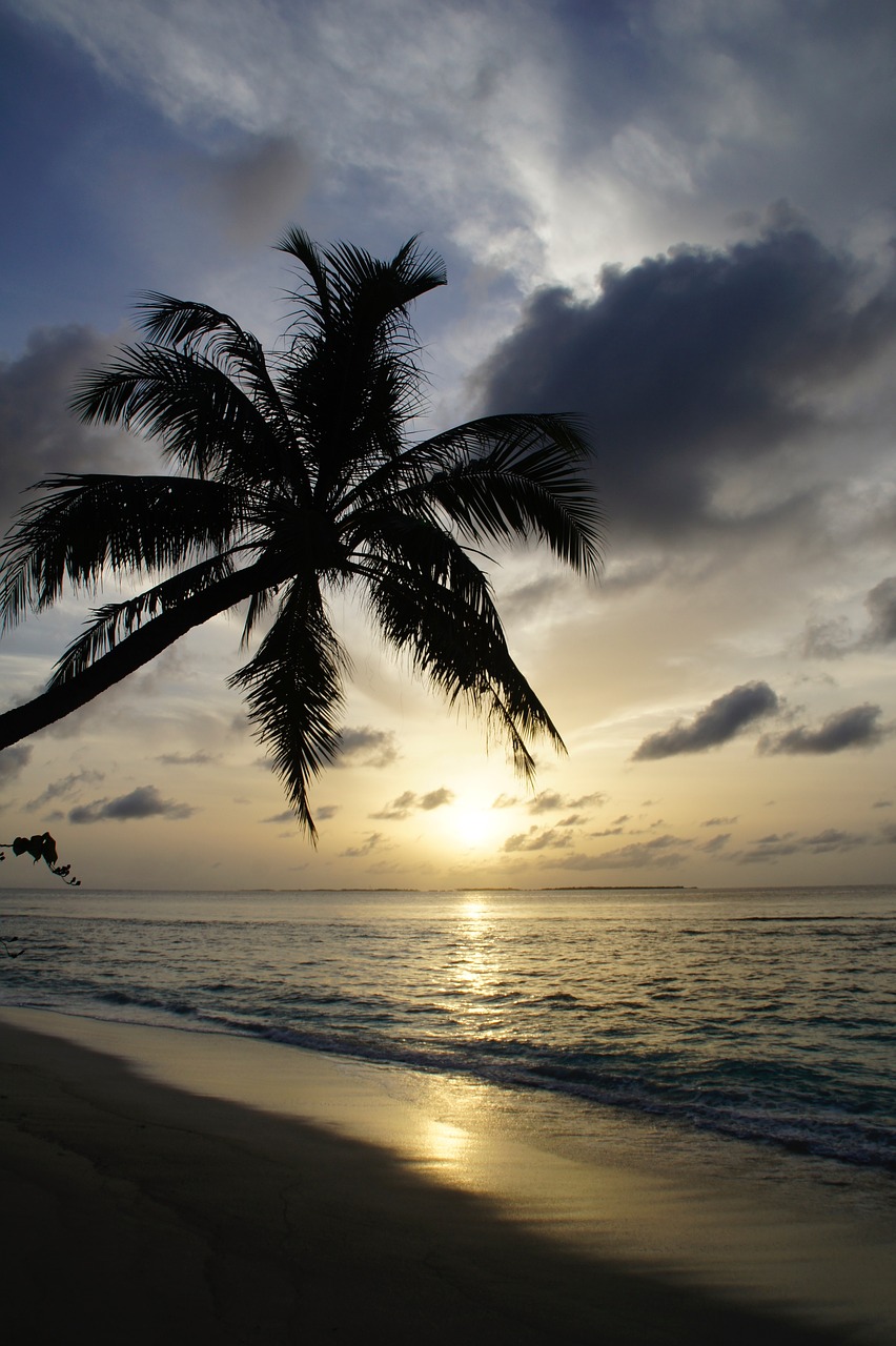 sunset maldives sea free photo