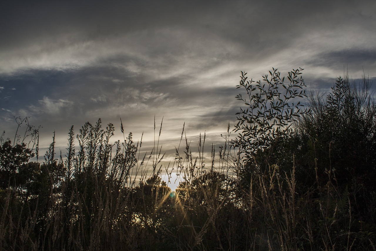 sunset nature galicia free photo